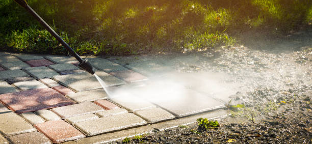 Best Soft Washing for Delicate Surfaces in Parkland, FL